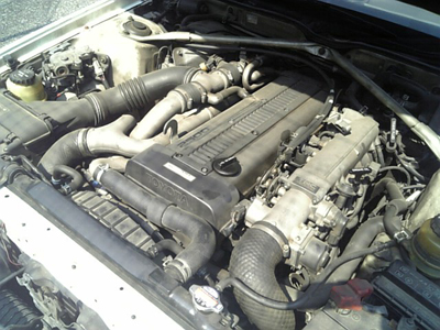f0098210_1493964.jpg