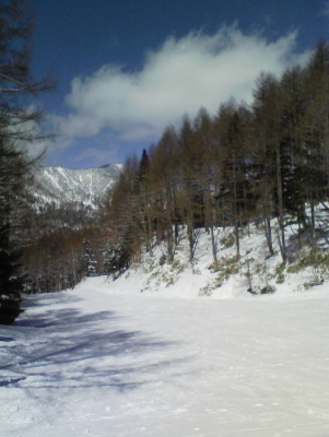 d0077811_12414854.jpg