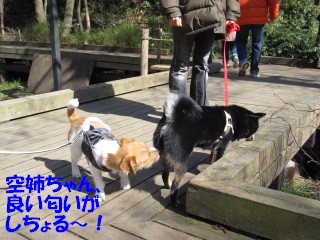 c0185516_11544762.jpg