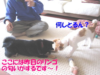 c0185516_1154918.jpg