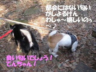 c0185516_11551842.jpg