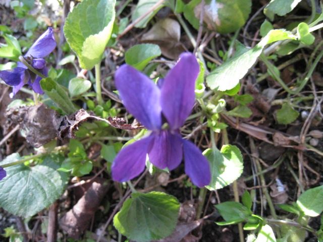 c0197220_13324644.jpg