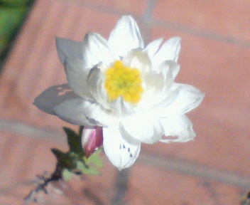 f0036223_08251.jpg