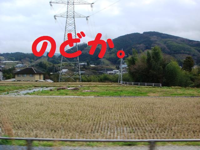 d0137326_1246783.jpg