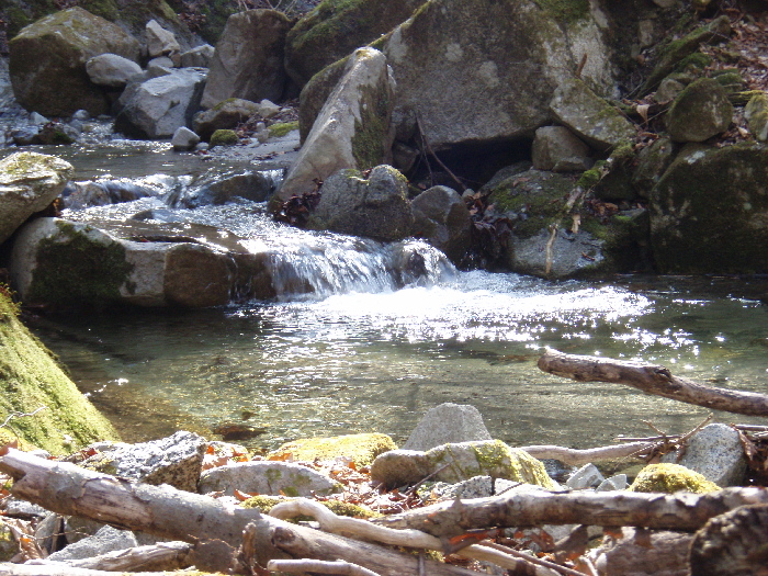 f0103126_20315353.jpg