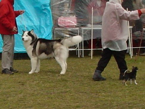 f0088731_22323262.jpg