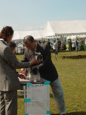f0088731_22495491.jpg