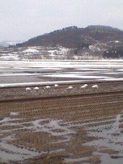 f0118332_13501473.jpg