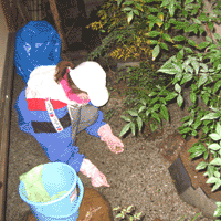 d0033734_11513579.gif
