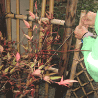 d0033734_11551779.gif