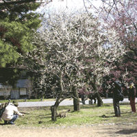 d0033734_12104618.gif