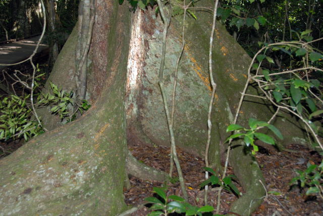 d0091834_20302265.jpg