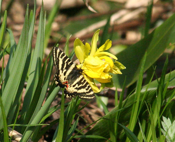 d0069235_2240490.jpg