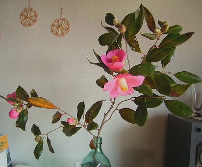 f0147037_20322069.jpg