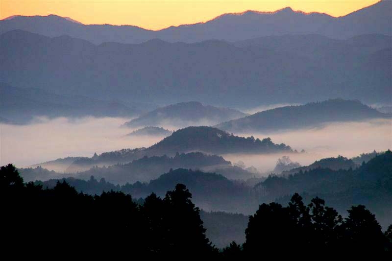 c0179844_8492834.jpg
