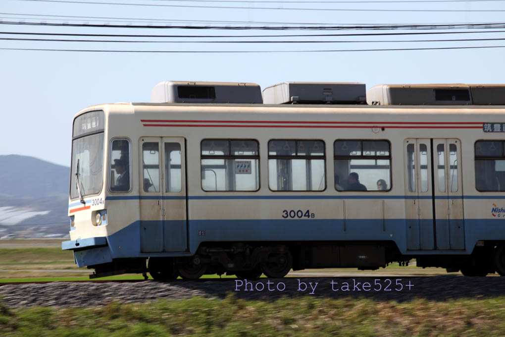a0116946_6454098.jpg