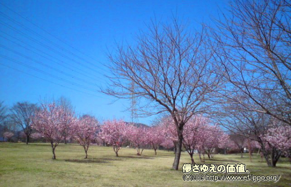 c0067646_315153.jpg