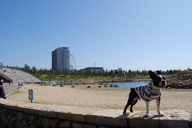 e0126046_2320128.jpg