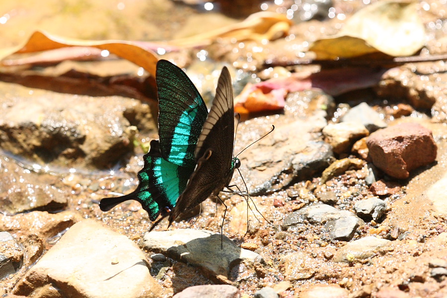 a0094850_219595.jpg