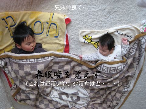 a0090451_23132761.jpg
