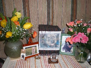 d0006253_062317.jpg
