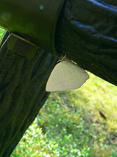 d0091754_014152.jpg