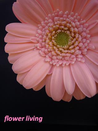 e0170658_13135944.jpg