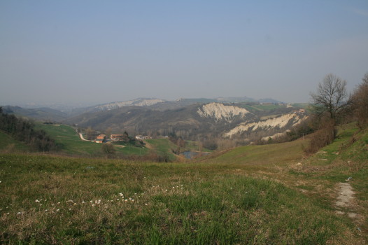 f0077159_6452.jpg