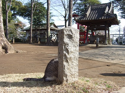 b0059860_2153272.jpg
