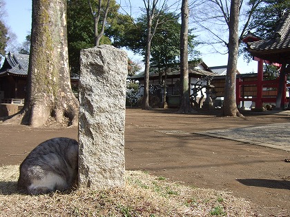 b0059860_21542446.jpg