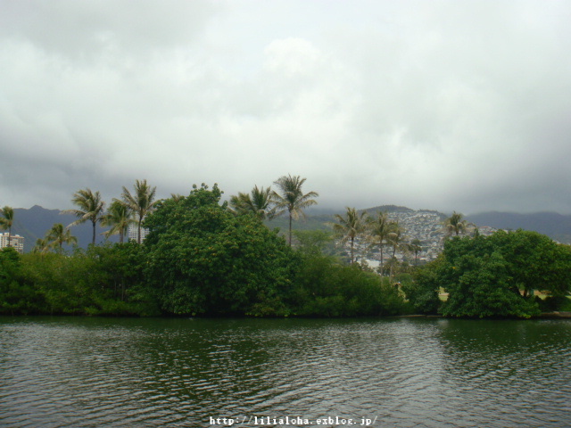a0067962_873895.jpg