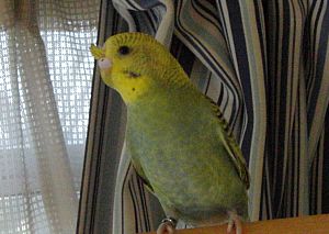 f0196665_015407.jpg