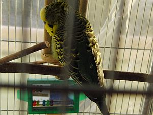 f0196665_0211896.jpg