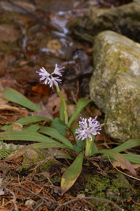e0054067_071468.jpg