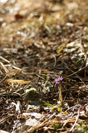 e0054067_0778.jpg