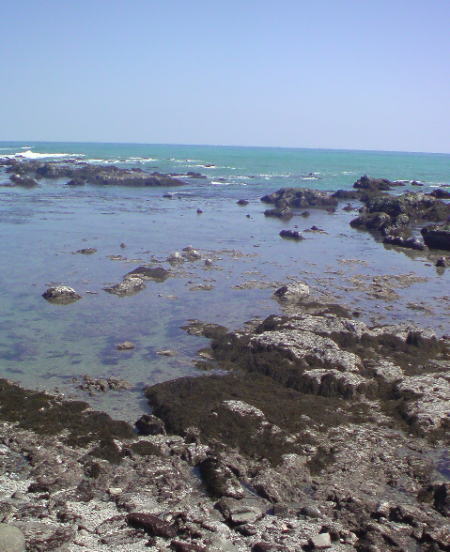 e0153367_17453880.jpg