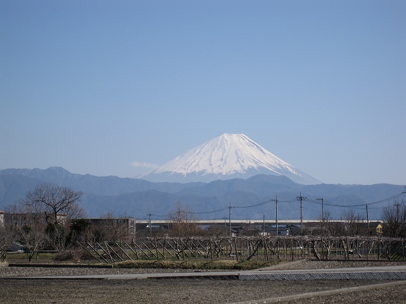 a0104569_19462975.jpg