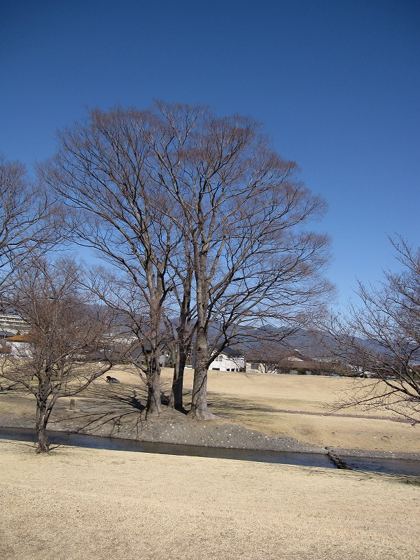 a0104569_1949234.jpg