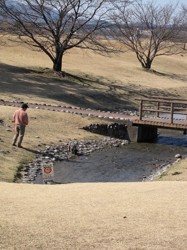 a0104569_1956928.jpg