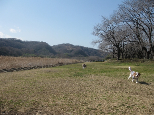 f0175875_20401074.jpg