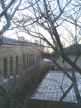 f0054677_8432919.jpg