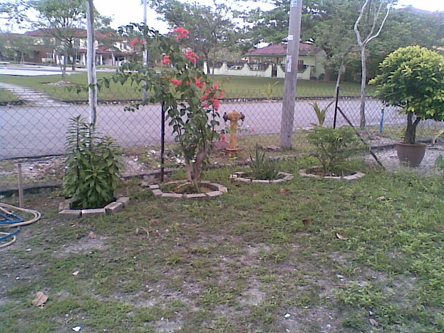 c0196278_11224211.jpg