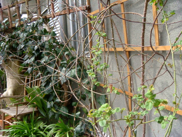 e0154682_035366.jpg