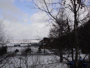 c0198485_1031514.jpg