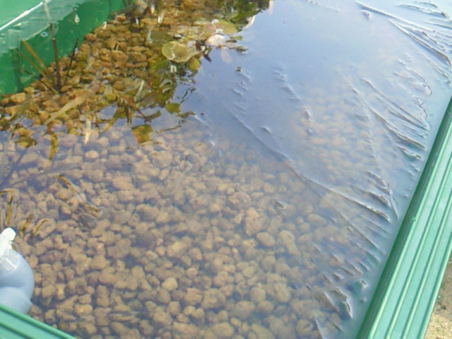 e0176785_16243799.jpg