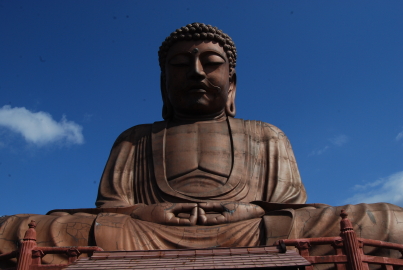 c0092787_8101516.jpg