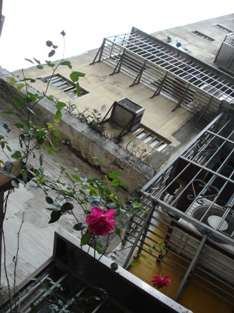 e0079992_10162467.jpg