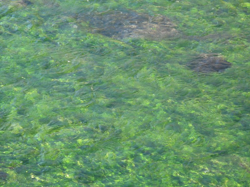 f0129994_15553242.jpg