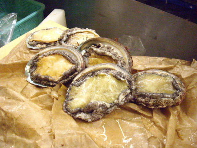 f0084695_22141699.jpg