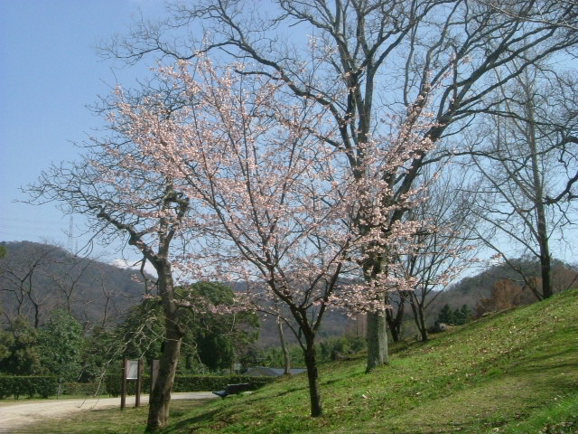 b0044296_2022428.jpg